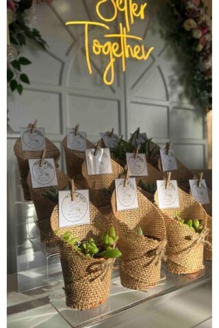 3 Katlı Merdiven Stand (ŞEFFAF 30CM)