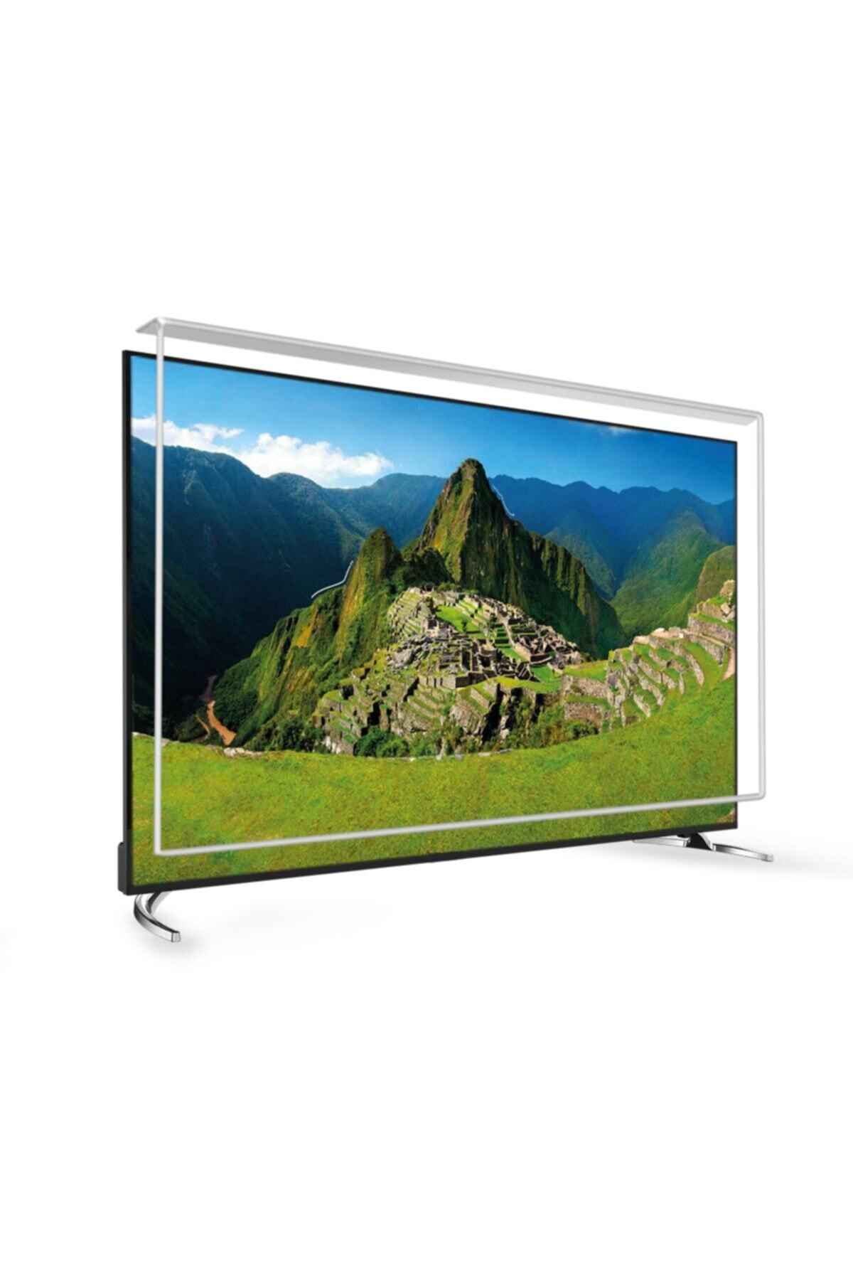 77 Inç 198 Ekran Tv Ekran Koruyucu  TECHWOOD Ekran Koruma Paneli