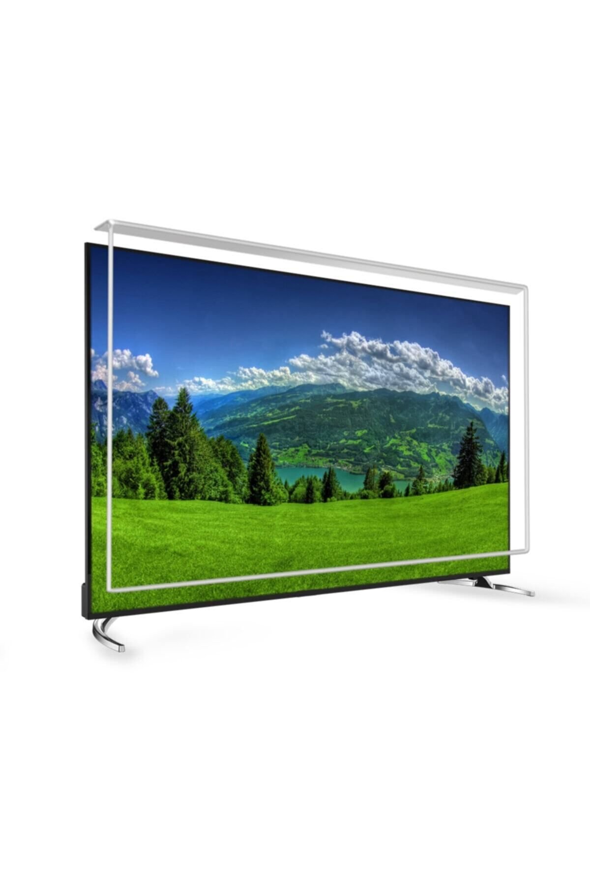 49 Inç 124 Ekran Tv Ekran Koruyucu  TECHWOOD Ekran Koruma Paneli