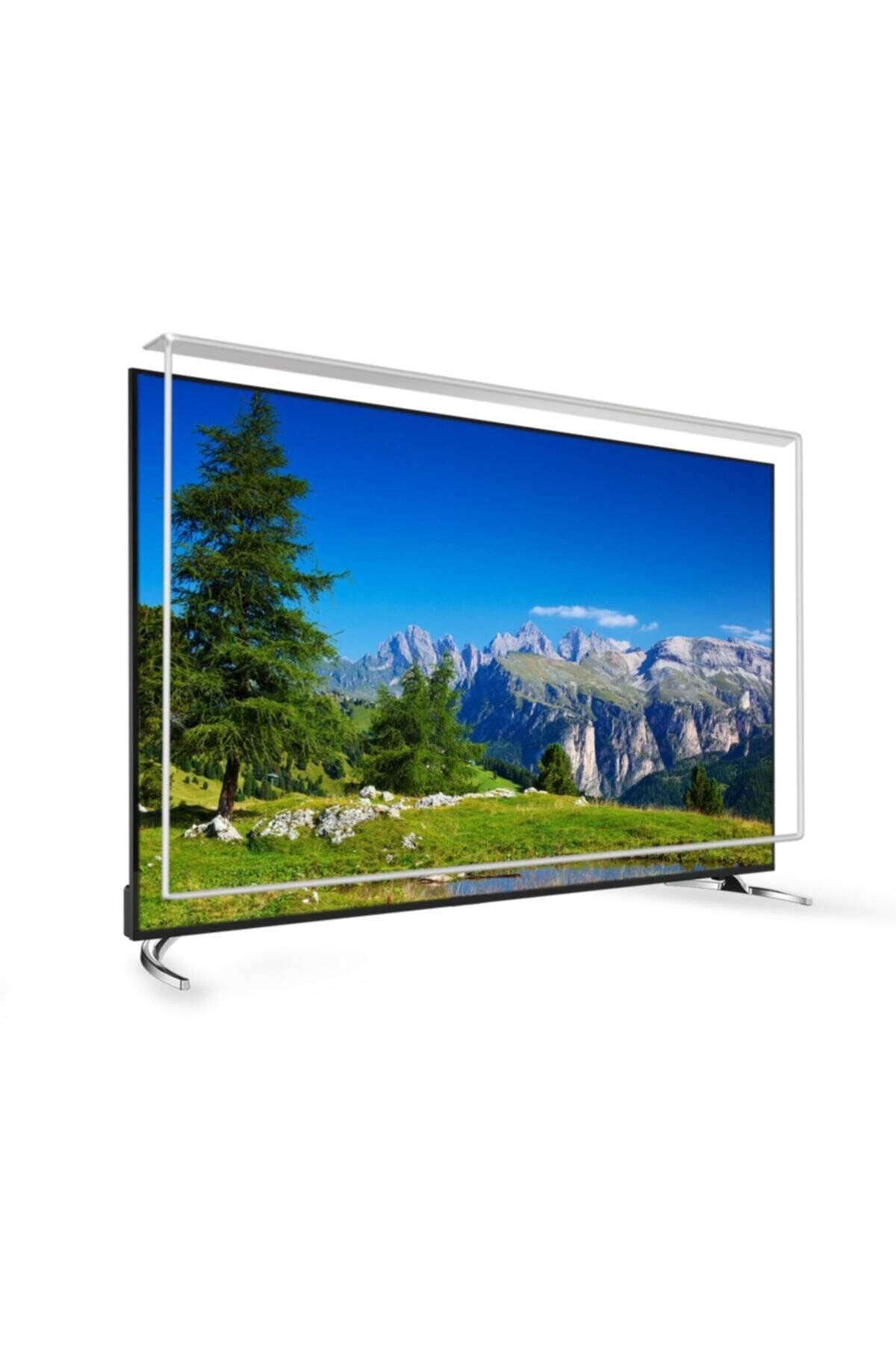 47 Inç 119 Ekran Tv Ekran Koruyucu  REGAL Ekran Koruma Paneli