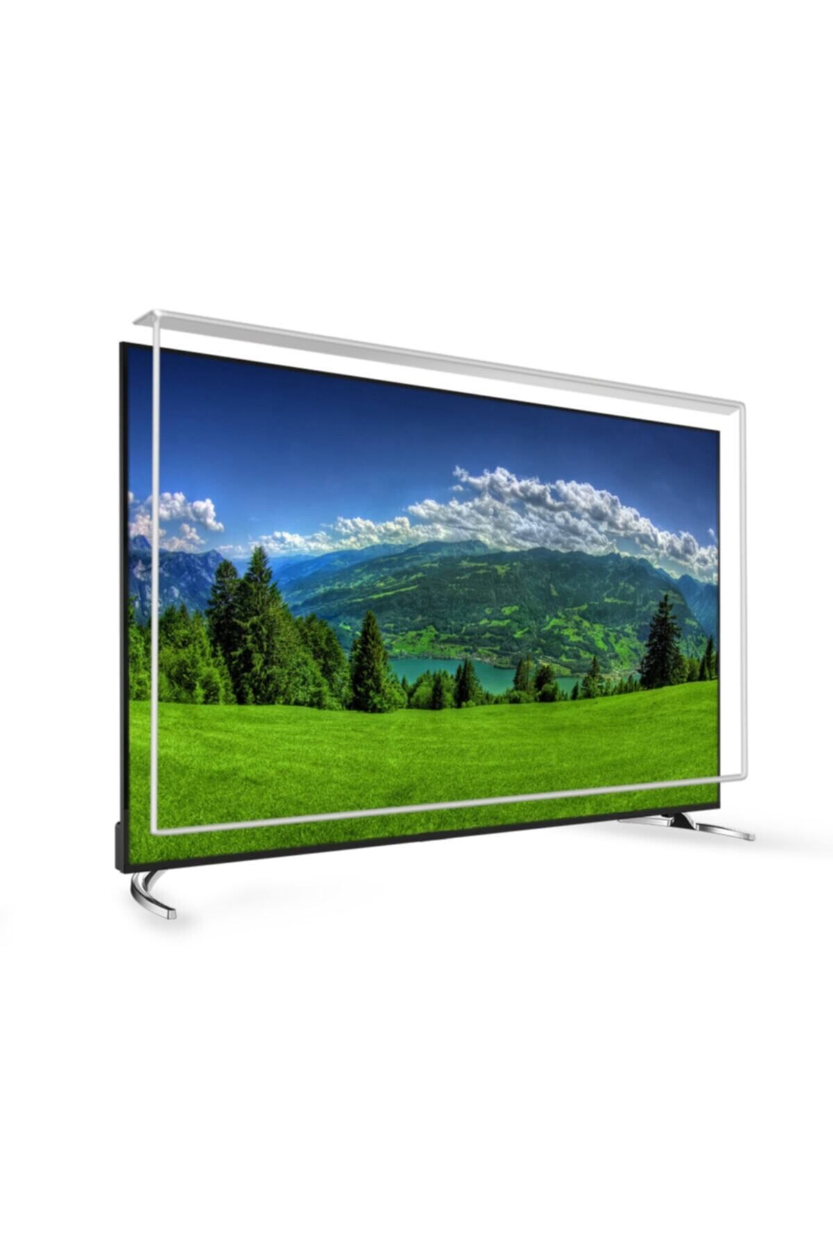 49 Inç 124 Ekran Tv Ekran Koruyucu  REGAL Ekran Koruma Paneli