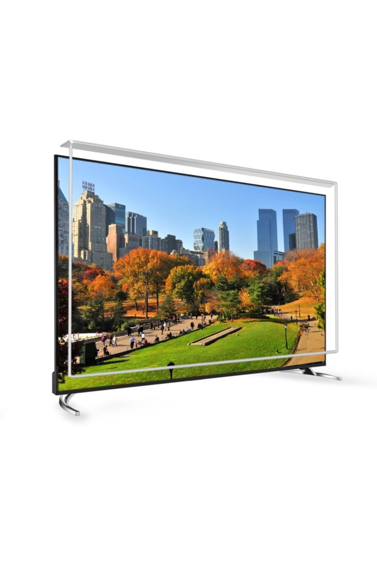 65 Inç 165 Ekran Tv Ekran Koruyucu  REGAL Ekran Koruma Paneli